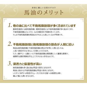 【今なら10%OFF】アズマ商事 馬油シャンプ...の詳細画像5