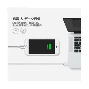 microUSB→iPhone iPad 用 ...の詳細画像2