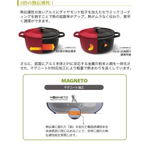 【正規品】GREEN PAN グリーンパン フ...の詳細画像5
