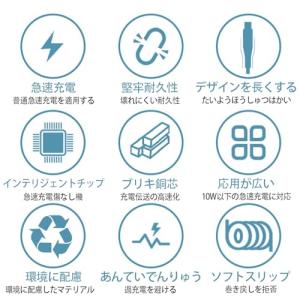 [LUYING] Type C Micro U...の詳細画像2