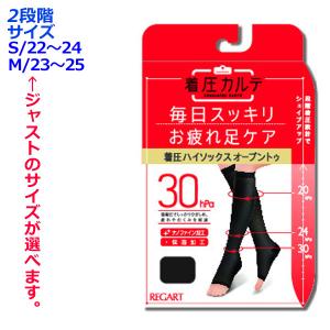 ギロファ・メッシュソックス(着圧ソックス 着圧式ソックス メッシュ