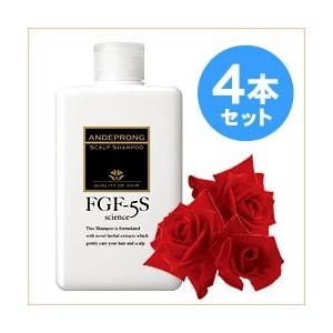 ヴェルセ ブラックケア ナチュラル スカルプシャンプーG 600ml 2個セット Black Care ブラックケアシャンプーKD 600ml 2本セット リンス