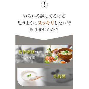 ダイエット ハーブティー お茶 デトック茶 美...の詳細画像4