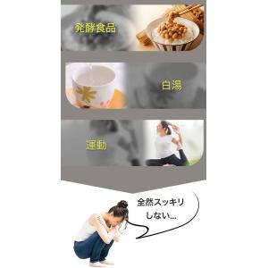 ダイエット ハーブティー お茶 デトック茶 美...の詳細画像5