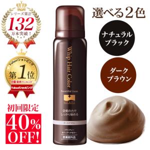 初回限定40％OFF 白髪染め ソワニティー ホイップへアカラー 80g 1本 泡カラー ブラック/ダークブラウン 医薬部外品 (HH00042-SW-NN-0100)｜ナチュラルガーデンYahoo!店