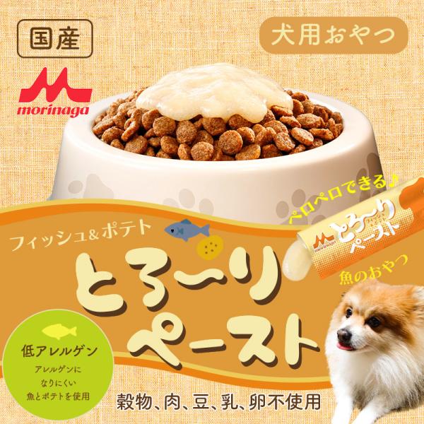 森乳 スーパーゴールド フィッシュ＆ポテト　とろ〜りペースト 12g×5本入　【低アレルゲンタイプ】...