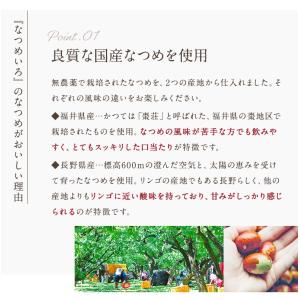 国産なつめ茶 2袋セット(3g×24個入) 福...の詳細画像4
