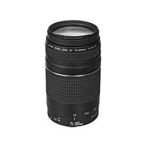 Canon EFレンズ EF75-300mm F4-5.6 IIIズームレンズ 望遠 並行輸入品(中古品)｜natsumestore