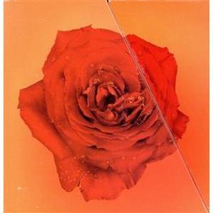 西城秀樹 HIDEKI SAIJO EXCITING AGE' ’72〜’79 [CD] 11枚組(中古品)