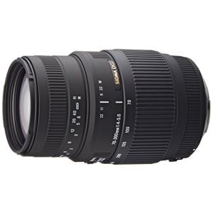 TAMRON タムロン 70-300mm F/4.5-6.3 Di III RXD Model A047S 望遠