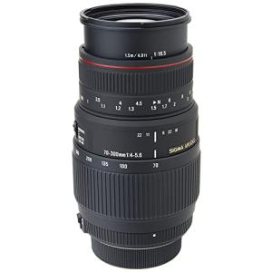 TAMRON 高倍率ズームレンズ 16-300mm F3.5-6.3 DiII VC PZD MACRO