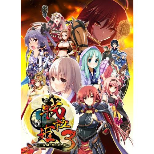 戦極姫3~天下を切り裂く光と影~ (通常版) - PSP(中古品)