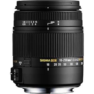 美品] SIGMA 18-250mm F3.5-6.3 DC MACRO OS HSM (キヤノンEF用