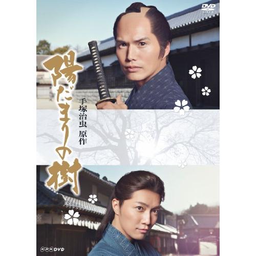 陽だまりの樹 [DVD](中古品)