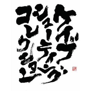 CAVE シューティングコレクション (攻略DVD7本 小冊子2冊 同梱) - Xbox360(中古...