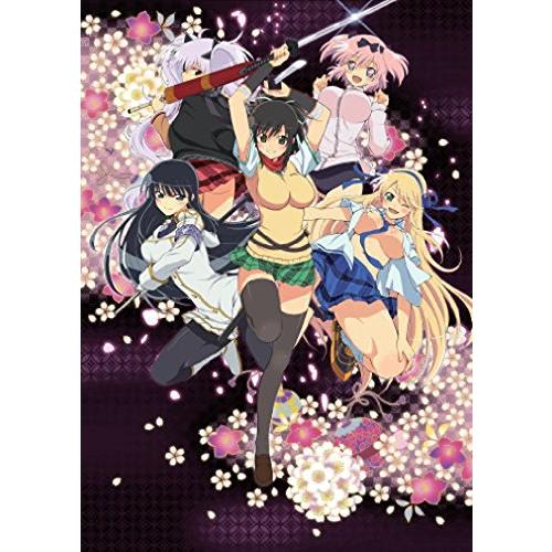 閃乱カグラ 第壱巻 [DVD](中古品)