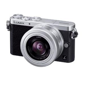 パナソニック デジタル一眼カメラ ルミックス GM1 レンズキット 標準ズーム(中古品)｜natsumestore