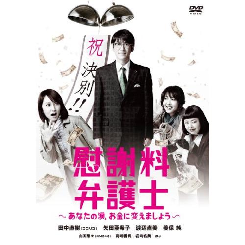 慰謝料弁護士~あなたの涙、お金に変えましょう~DVD-BOX(中古品)