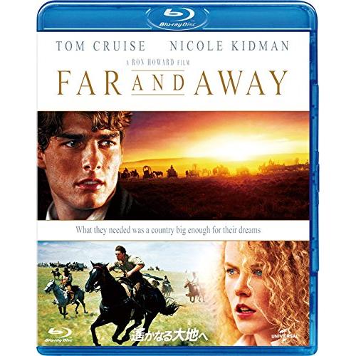 相棒 -劇場版III- 巨大密室!特命係 絶海の孤島へ 豪華版DVD BOX(初回完全限(中古品)