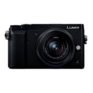 LUMIX パナソニック Panasonic ルミックス GX7 Mark2 ライカ LEICA