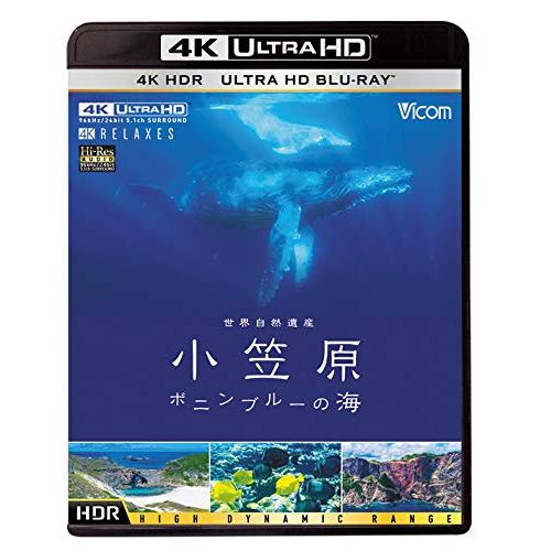 世界自然遺産 小笠原 【4K・HDR】~ボニンブルーの海~ [Ultra HD Blu-ray](中...