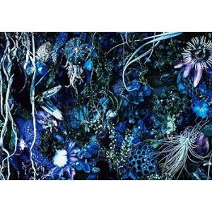 ONENESS M(初回限定盤) [CD] SUGIZO(中古:未使用・未開封)