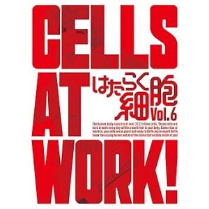 はたらく細胞 6(完全生産限定版) [DVD] 花澤香菜(中古:未使用・未開封)
