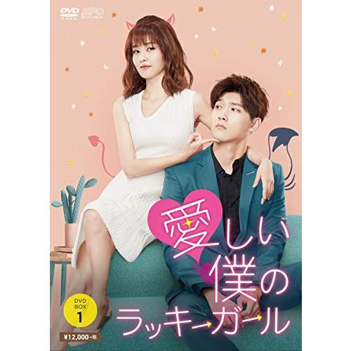 愛しい僕のラッキーガール DVD-BOX1 (6枚組) シン・ジャオリン, バイ・ルー(中古:未使用...