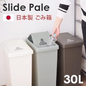 スライド式フタ付きダストボックス30L日本製 ご...の商品画像