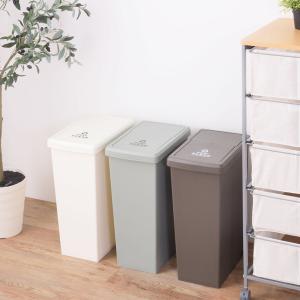 スライド式フタ付きダストボックス30L日本製 ...の詳細画像1