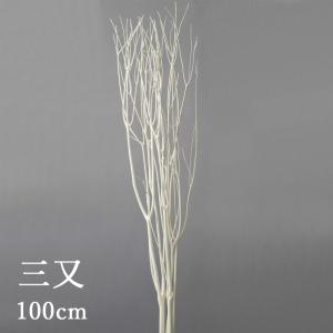 枝 三又 100cm 白 ドライフラワー プリザーブドフラワー スワッグ ブーケ ドライフラワー花束 花束 ドライフラワースワッグ リース アレンジ 花材 素材 材料 花｜nattyandco