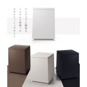 ゴミ箱 10リットル 10L ふた付き 蓋 お...の詳細画像1