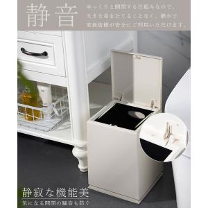 ゴミ箱 10リットル 10L ふた付き 蓋 お...の詳細画像3