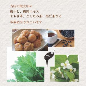 家庭でできる自然療法 東城百合子 誰でもできる...の詳細画像4