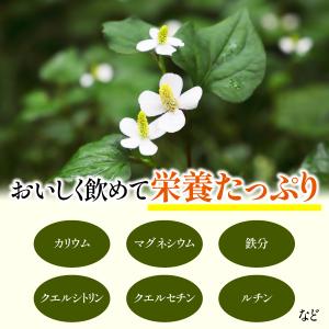 どくだみ茶 3g×50包 国産 無農薬 無添加...の詳細画像2