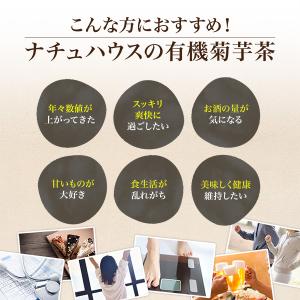 有機 菊芋茶 国産 2g×50包 ティーバッグ...の詳細画像3