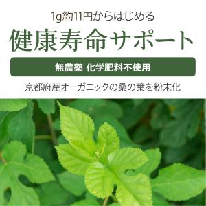 有機 桑の葉茶 粉末 100g 国産 無農薬 ...の詳細画像1