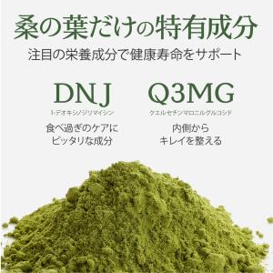 有機 桑の葉茶 粉末 100g 国産 無農薬 ...の詳細画像4