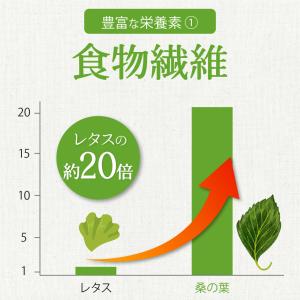 有機 桑の葉茶 粉末 100g 国産 無農薬 ...の詳細画像5