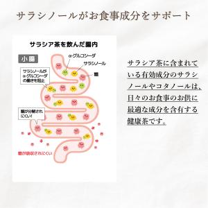 サラシア茶 3g×50包 ノンカフェイン 健康...の詳細画像2