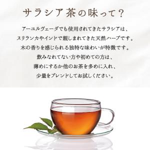 サラシア茶 3g×50包 ノンカフェ イン 健...の詳細画像2