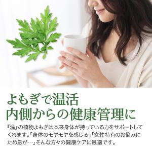 よもぎ茶 粉末 300g 国産 無農薬 無添加...の詳細画像5