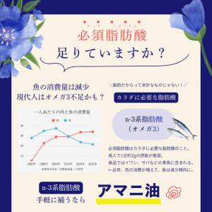 アマニ油 個包装 朝日 3g × 100包 1...の詳細画像2