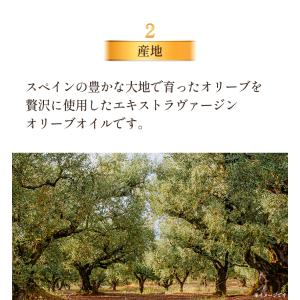【新商品】オリーブオイル エキストラバージン ...の詳細画像3