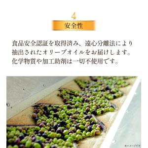 【新商品】オリーブオイル エキストラバージン ...の詳細画像5