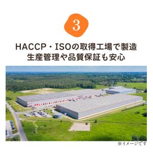 パスタ 麺 1kg 12袋 セット 1.7mm...の詳細画像4