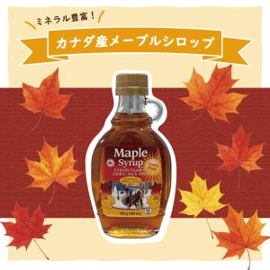メープル シロップ 250g 189ml 3本...の詳細画像1