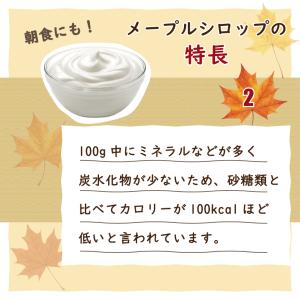 メープル シロップ 250g 189ml 3本...の詳細画像3