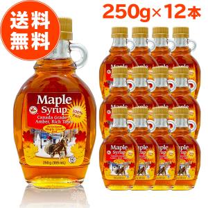 朝日 メープル シロップ 250g 189ml 3本セット カナダ産 純度100