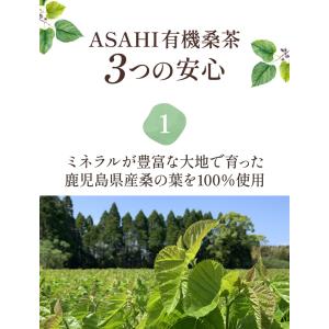 桑の葉茶 国産 オーガニック 2g × 50包...の詳細画像2